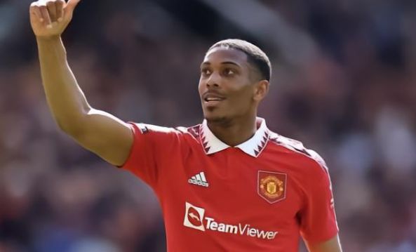 全面解析其 全面解析其